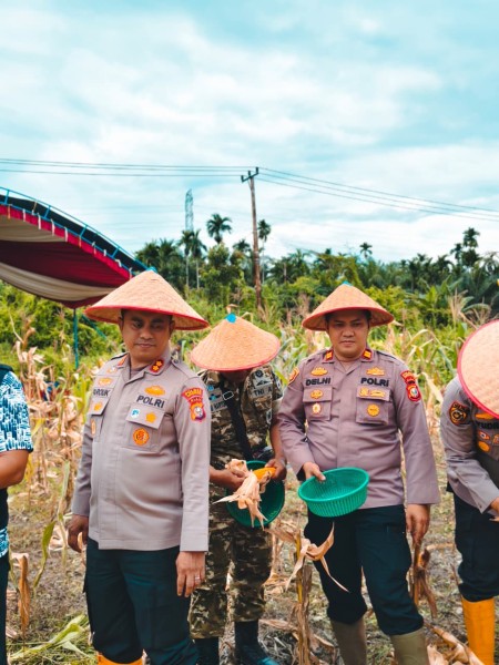 Ketika Kapolres Inhil Turun Ke Ladang, Bukan Hanya Panen, Ini Kepercayaan: Polri, Petani, Dan Tanah Yang Bersaksi