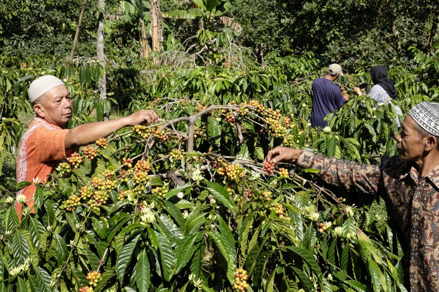 Inovasi PLN Indonesia Power Tingkatkan Ekonomi Berkelanjutan