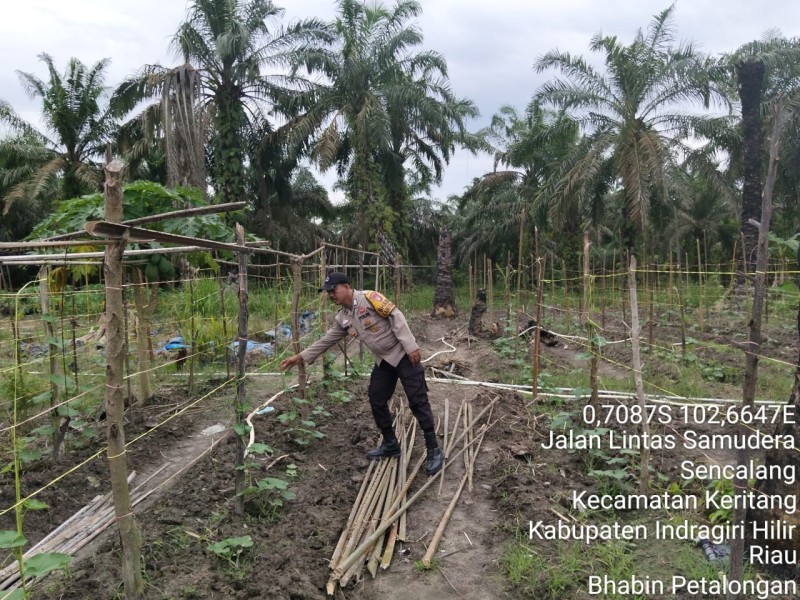 Polsek Keritang Kawal Swasembada Pangan Dari Akar Rumput