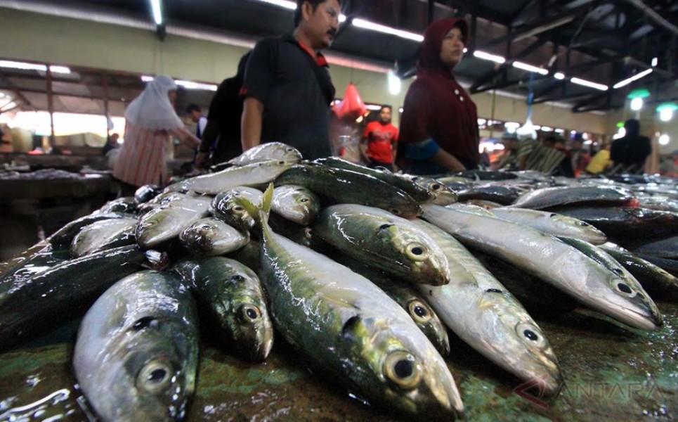 KKP Pastikan Ketersediaan Ikan Selama Ramadan dan Lebaran 2025 Terjaga