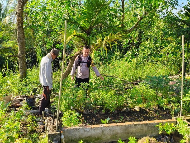 Polri untuk Rakyat: Cek Kebun Warga, Bhabinkamtibmas Sungai Iliran Perkuat Ekonomi Desa