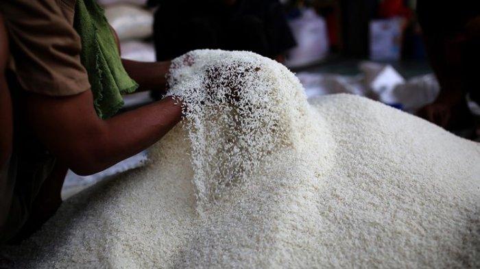 Pemerintah Hentikan Sementara Penyaluran Bansos Beras Selama Panen Raya