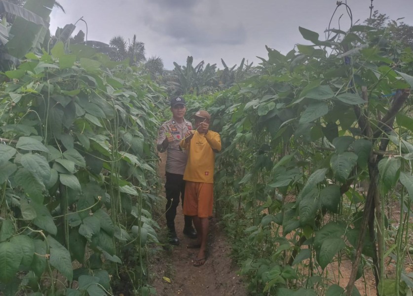 Polsek Kelayang Ajak Warga Manfaatkan Pekarangan, Ketahanan Pangan Dimulai dari Desa