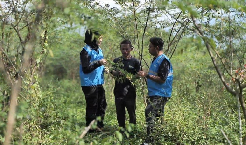 Kolaborasi Hijau PLN Energi Primer Indonesia dan Masyarakat Tasikmalaya Kembangkan Biomassa