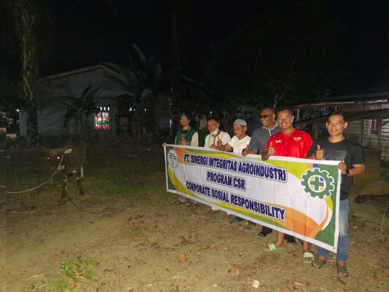 Sambut AIDUL ADHA .1446 Hijriyah.PKS PT SIA,salurkan CSR  .satu ekor lembu kurban  di kepenghuluan Bahtera makmur,