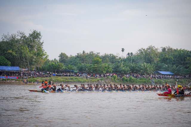 Festival Pacu Jalur Rayon I Inuman Berakhir, Alam Cahayo Tuah Nagoghi Raih Juara Pertama