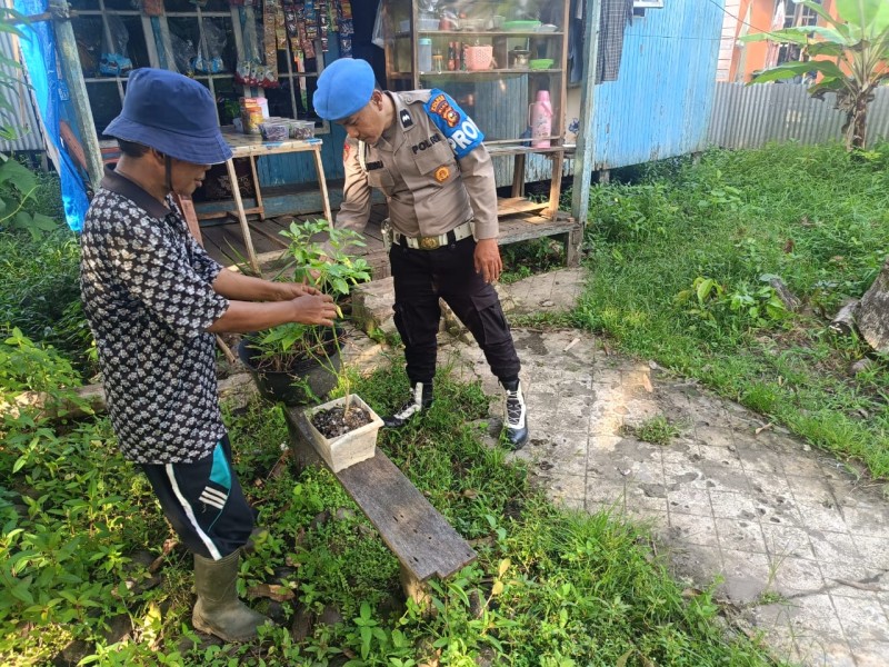 Polsek Enok Motivasi dan Kawal Tanaman Warga: Cabai dan Serai Tumbuh Subur di Jalan Pendidikan