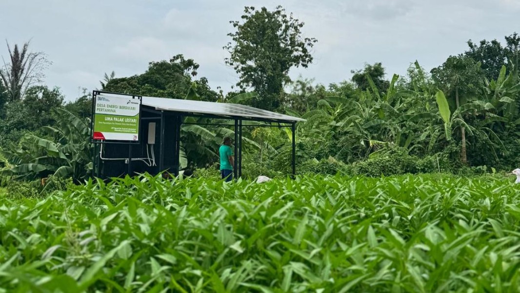 Pertamina Dorong Kemandirian Energi dan Pangan dengan Membangun Ratusan Desa Energi Berdikari