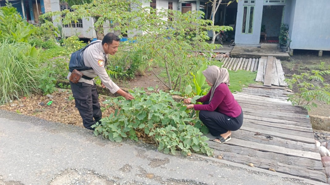 Sinergi Polsek Enok dan Warga, Sayur, Kunyit, Serai Jadi Benteng Pangan Keluarga