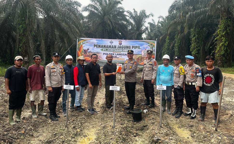 Dukung Ketahanan Pangan, PT Agritasari Prima dan Polsek Langgam Kolaborasi Tanam Jagung Pipil