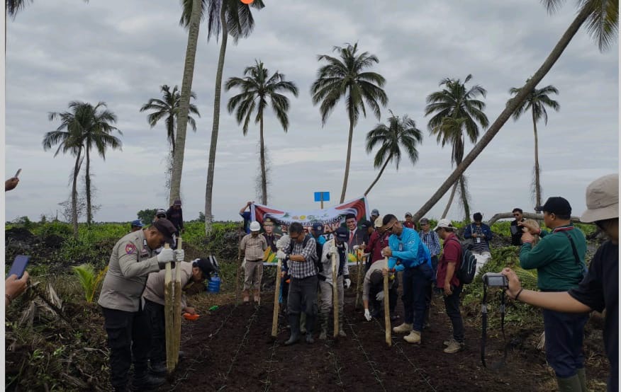 PT RSUP Dukung Ketahanan Pangan Nasional Lewat Penanaman Jagung Serentak