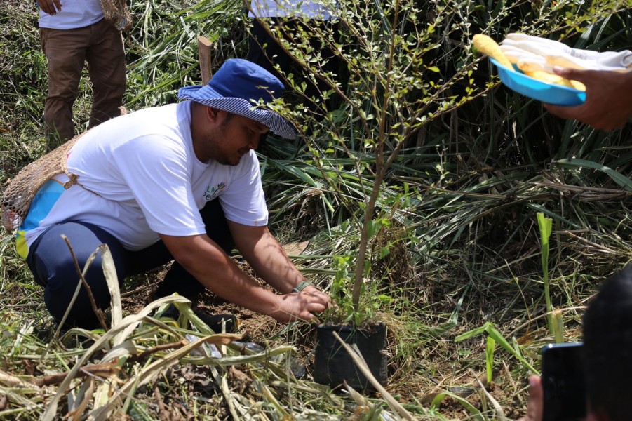 Dukung Energi Hijau, PLN UIT JBB Lakukan Penanaman Pohon di Bantaran Sungai Ciujung