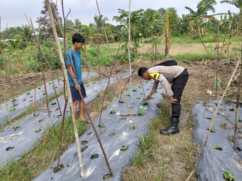 Personil Polsek Keritang Sambangi Kebun Gambas Warga dalam Mendukung Program Ketahanan Pangan