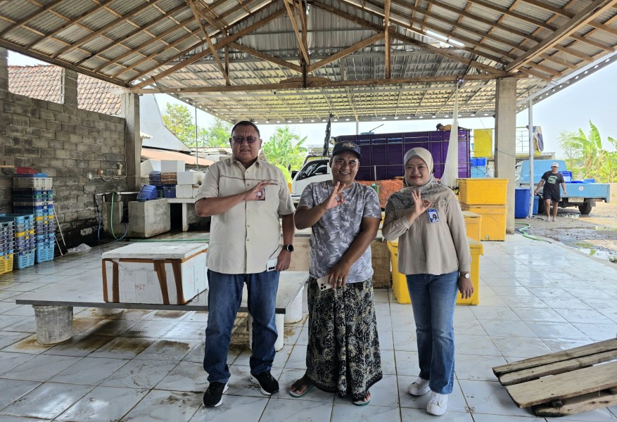 Transaksi Miliaran, Pebisnis Udang Vanamei di Situbondo Berkembang Saat Didukung BRI