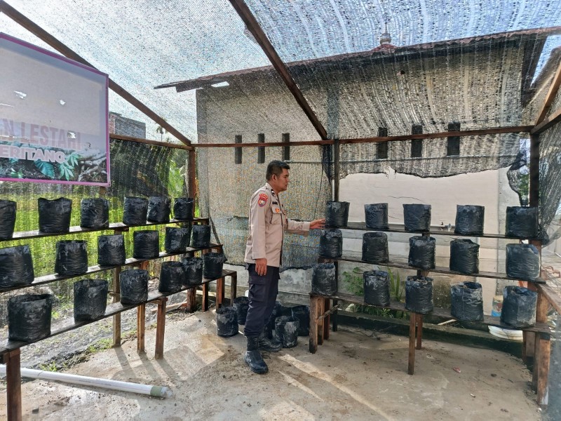 Polri Hadir Untuk Petani: Bank Pohon Polsek Keritang Gabungkan Konservasi Hutan Dan Ketahanan Pangan