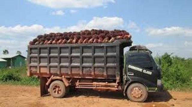 PT TAL Pastikan tak Terima Buah Sawit dari Toro