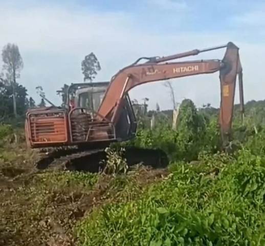 Dugaan Mafia Hutan di Dumai: Pejabat Diduga Terima Upeti, Hutan Batu Teritip Terancam