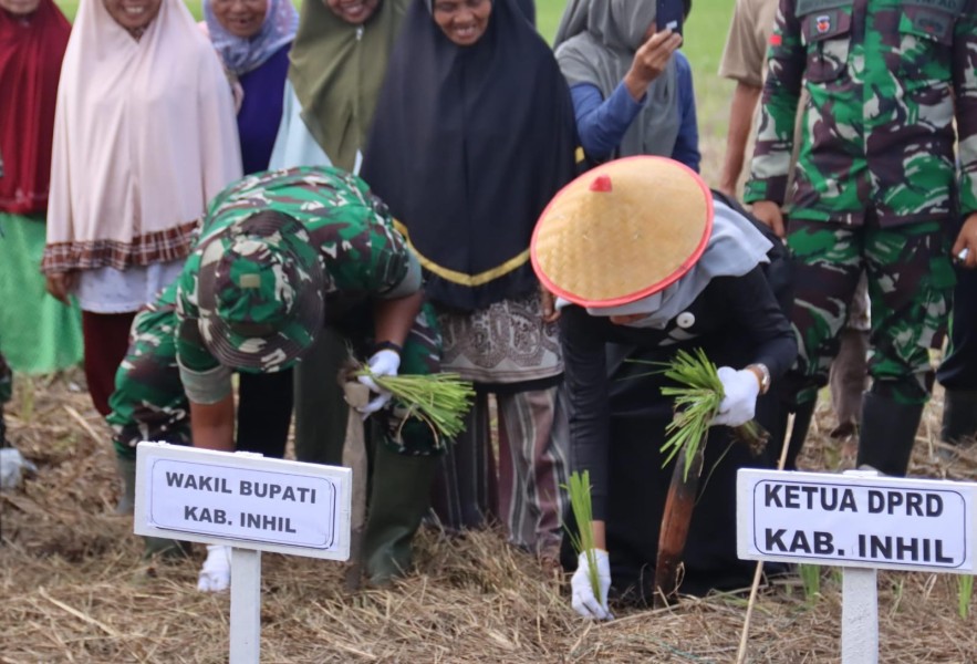Dorong Swasembada Pangan, Wabup Inhil Hadiri Penanaman Padi Serentak di Tempuling