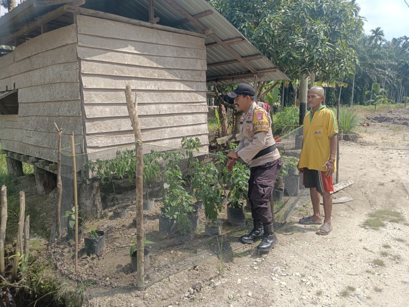 Bripka Erwin Duduk Bersama Petani Sencalang, Wujud Nyata Polri Peduli Kesejahteraan Petani