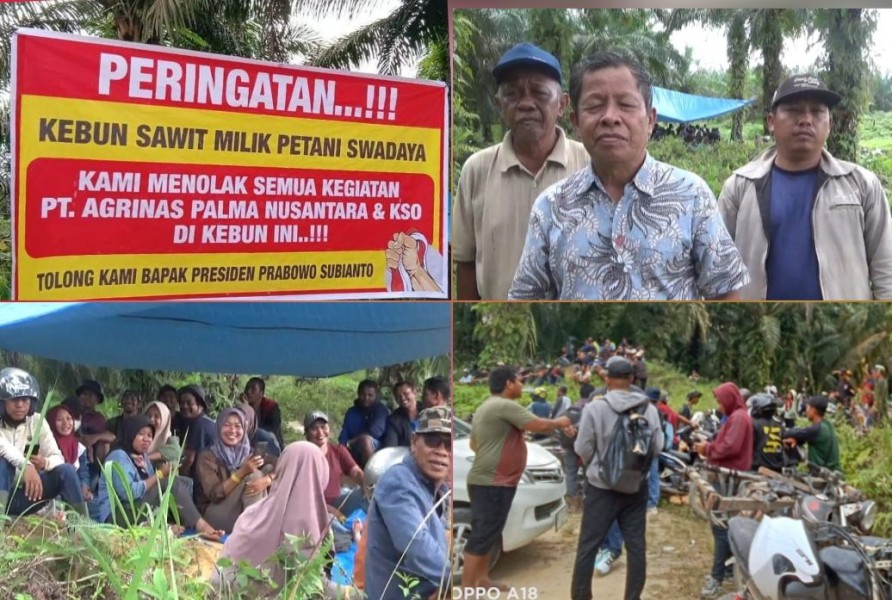 Klaim Lahan Dipersoalkan, Warga Inhu Tolak Pengelolaan Kebun oleh PT Agrinas
