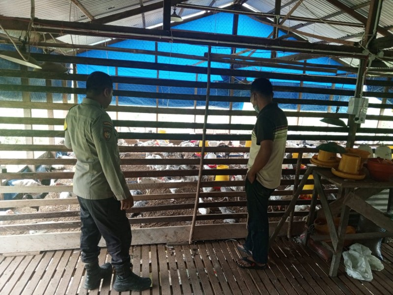 Bhabinkamtibmas Desa Kotabaru Seberida Sambangi Peternakan Ayam Kampung dalam Mendukung Ketahanan Pangan