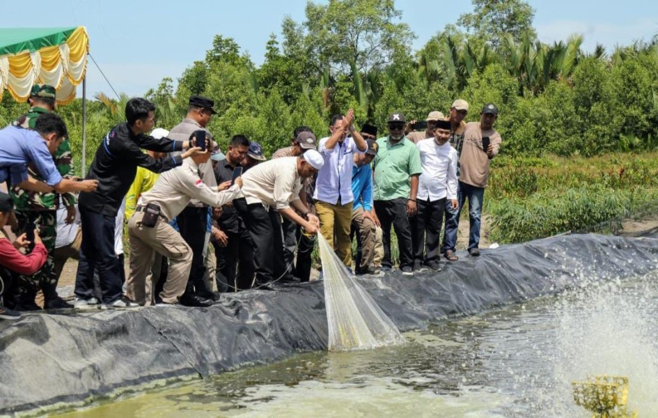 Bupati Inhil Tinjau Tambak Udang Vaname di Tanjung Apek