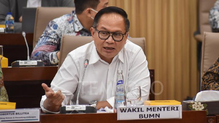 Wakil Menteri BUMN Sebut Gapoktan akan jadi Koperasi per April 2025