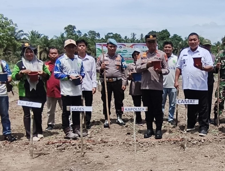 Penanaman Jagung Serentak Digelar di Desa Gumanti, Kades Irjon Harap Tingkatkan Ekonomi Warga