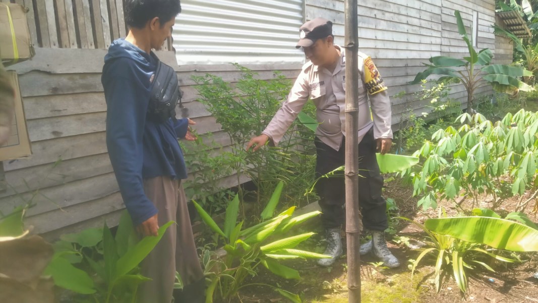 Kawal Produktivitas Ekonomi Warga, Polsek Enok Pantau Langsung Tanaman Cabe dan Serai di Pekarangan