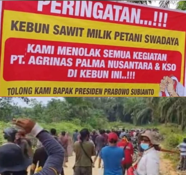 BKonflik Sawit di Inhu Memanas, Petani Minta KSO PT TDE Diganti Koperasi Lokal