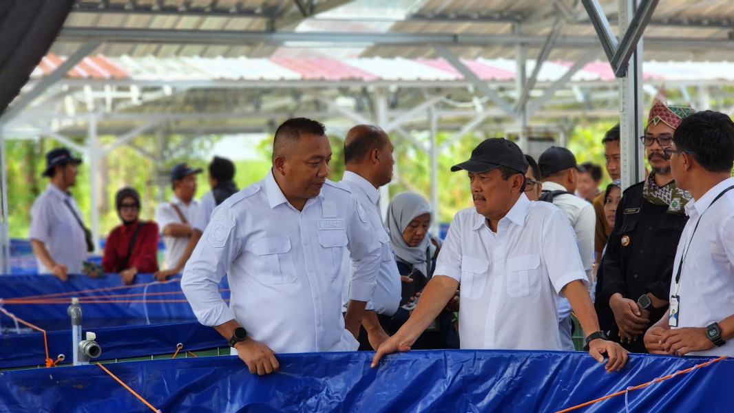 Situbondo Siap Jadi Produsen Utama Lobster Indonesia