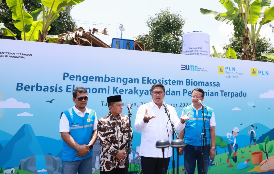 Pemulihan Lahan Kritis, PLN EPI Bangun Ekosistem Biomassa dari Pertanian Terpadu