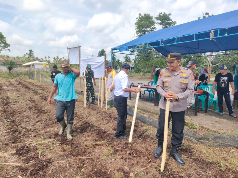 Wujudkan Swasembada Pangan, Kapolsek Pulau Burung Bersama Forkopincam Tanam Jagung Serentak di Desa Mayang Sari