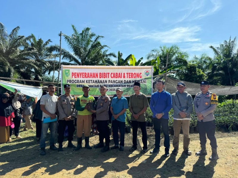 Warga Kuantan Babu Dapat Bibit Cabai dan Terong, Bisa Panen di Pekarangan Sendiri!