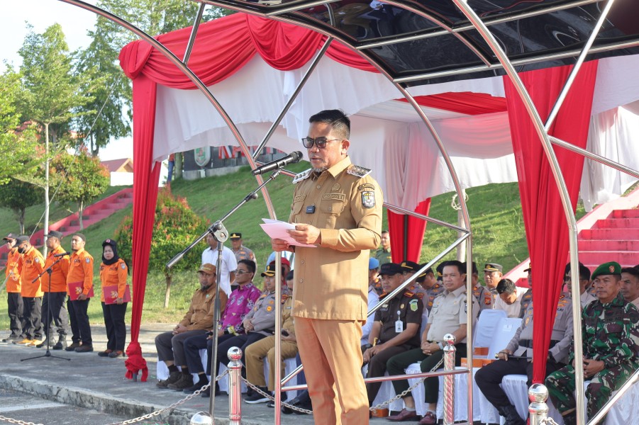 Antisipasi Karhutla, Bupati Pelalawan Instruksikan Perusahaan Normalisasi Kanal