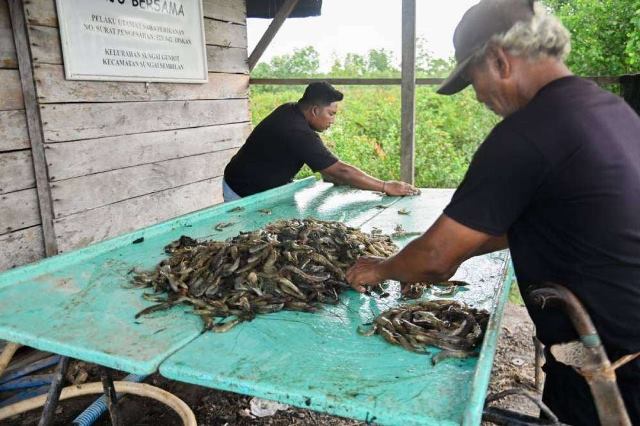 Pemko Dumai Gali Potensi Bagi Masyarakat dan Investor