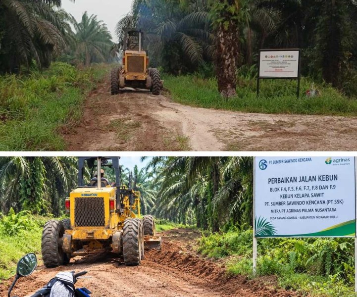 Komitmen Jaga Produktivitas, PT SSK Mitra Agrinas Rutin Rawat Jalan Kebun