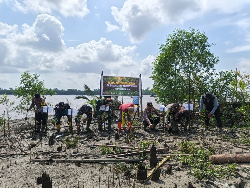 Sinergi TNI-Polri-Pemerintah Tanam Mangrove di Kuala Gaung Peringati Hari Mangrove Sedunia