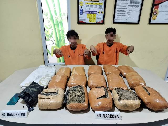 2 Tersangka Jaringan Narkoba Antar Provinsi di Tangkap Resnarkoba Polres Kampar Dengan 15 Kg Ganja
