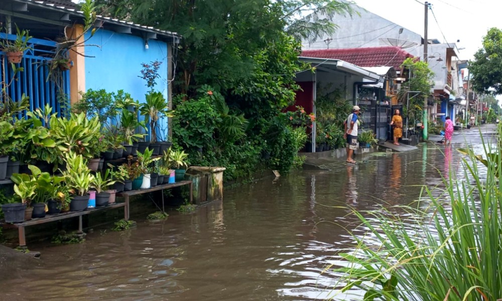 Banjir Melanda Perumahan di Kota Blitar Setelah Hujan Lebat