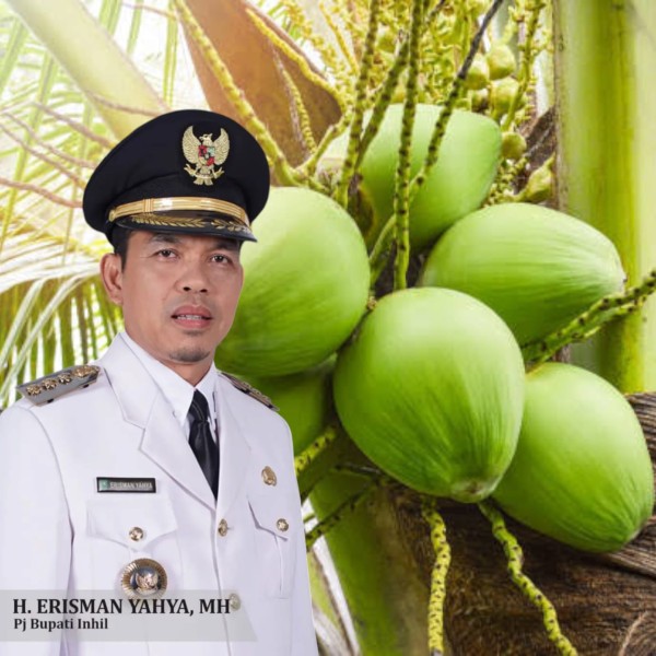 Pj Bupati Inhil Erisman Yahya Apresiasi Harga Kelapa Capai Rp. 4.900 per Kilogram