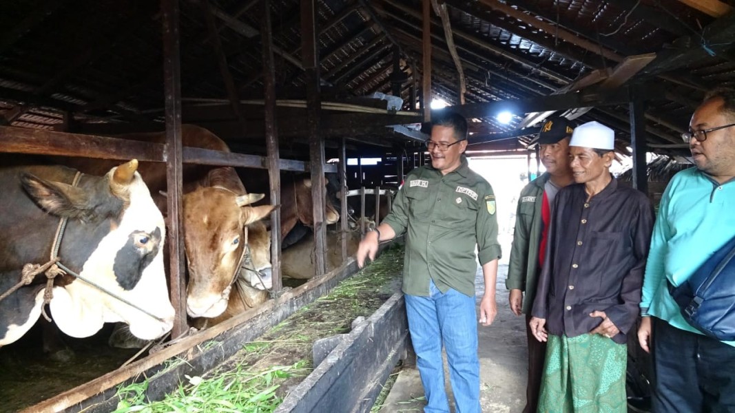DPTPHP Inhil Lakukan Pemeriksaan Hewan Kurban Menjelang Idul Adha 2025