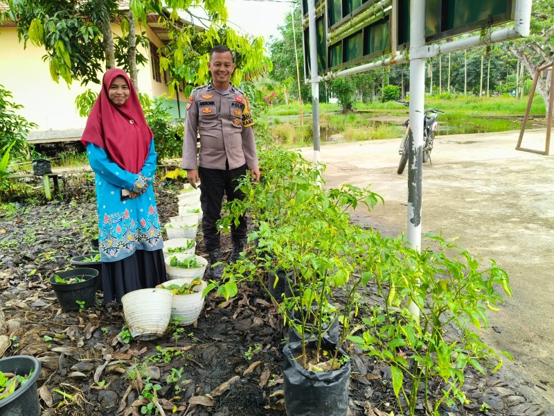 Bhabinkamtibmas Teluk Sungka Bersama Guru PJOK Pantau Kebun Ketahanan Pangan SMU IT