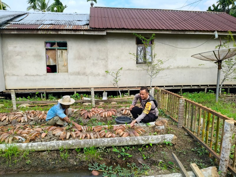 Bhabinkamtibmas Aipda Andromik Turun ke Lahan, Pastikan Cabe Rawit Tumbuh Optimal