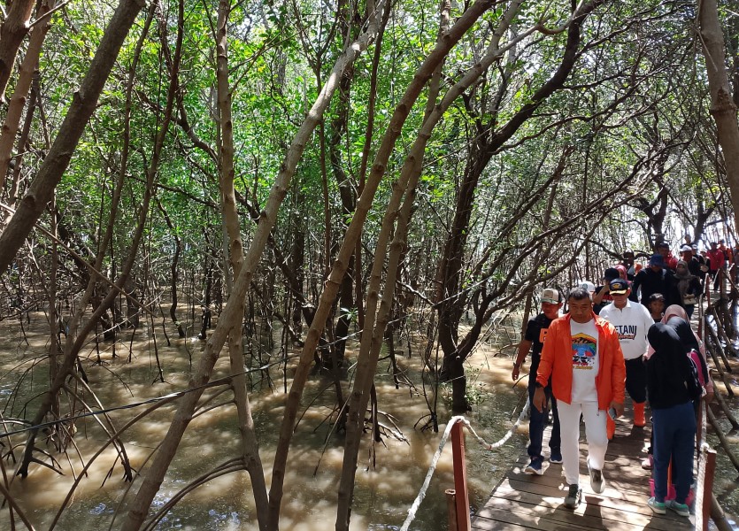 Benahi Hutan Mangrove Pantai Dubibir, Mas Rio Libatkan Pokdarwis Bersihkan Sampah