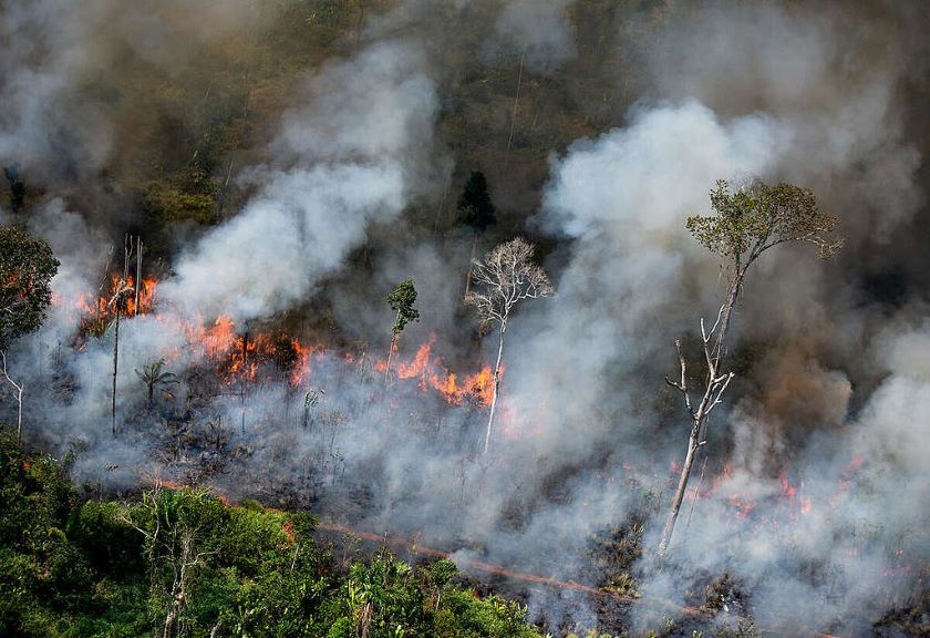 Langkah Bijak Pemilik Properti Setelah Bencana Kebakaran Hutan di California Selatan