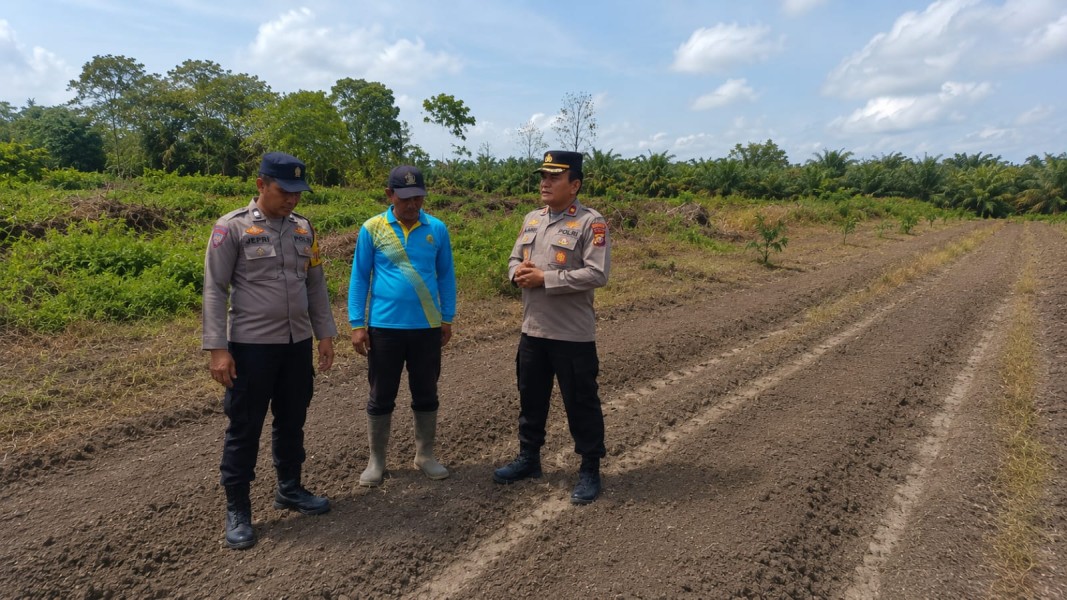 Polsek Rengat Barat Cek Perkembangan Jagung Pipil, Dukung Program Ketahanan Pangan Nasional
