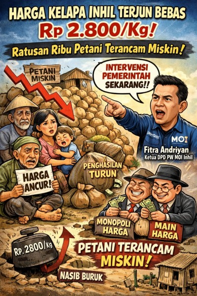 Harga Kelapa Bulat di Inhil Menuju Titik Terendah, DPD PW MOI Inhil: Ratusan Ribu Petani Kelapa Terancam Miskin