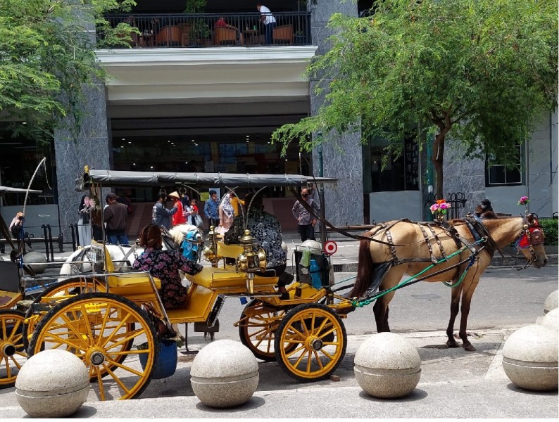 Andong: Pesona Tradisional di Jantung Wisata Malioboro