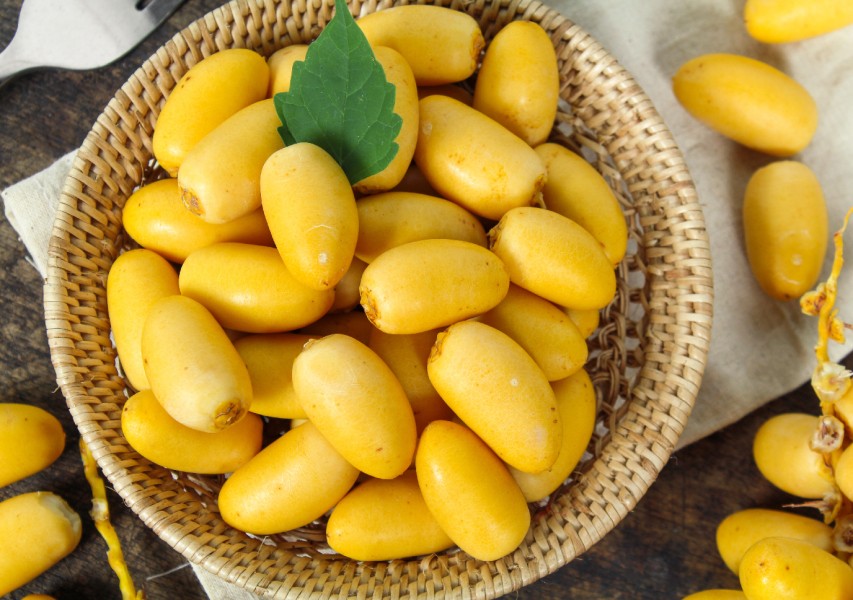 6 Cara Bisnis Kurma Muda dengan Omzet yang Menjanjikan